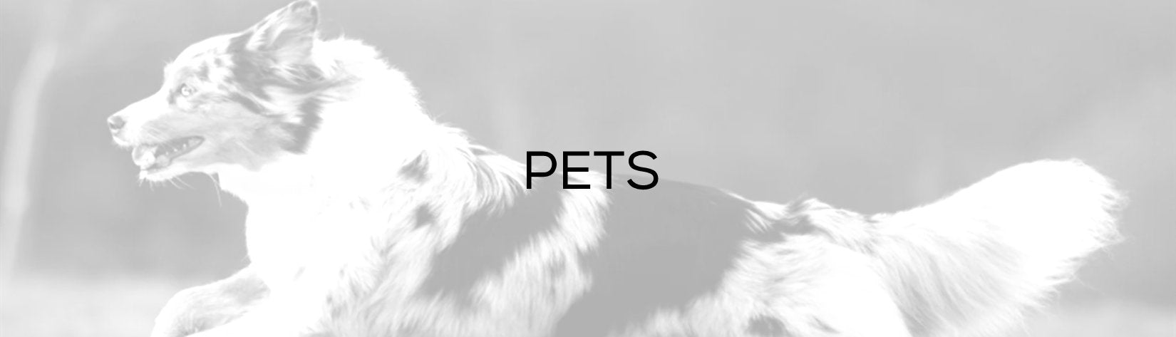 Pets