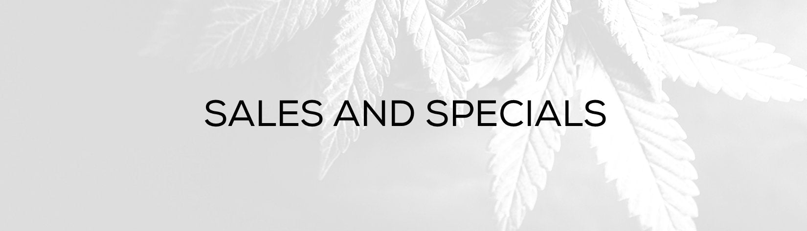 Sales & Specials - Current Promotions