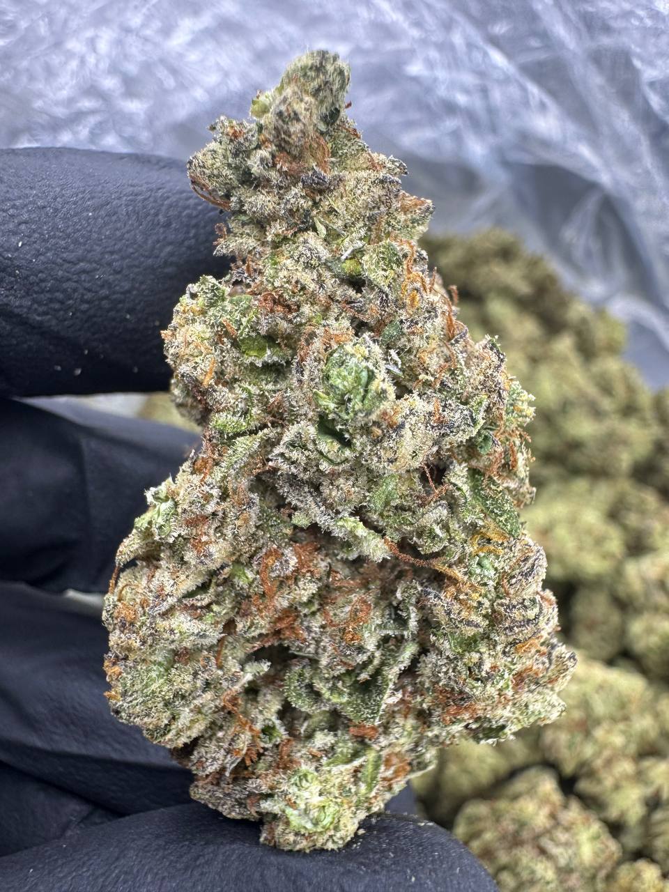 Gelonade THCA Flower | 30.27% AAA