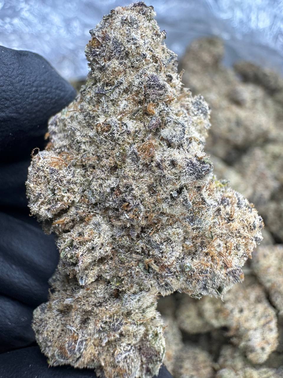 Sub Zero THCA Flower | 27.85% EXOTIC INDOOR