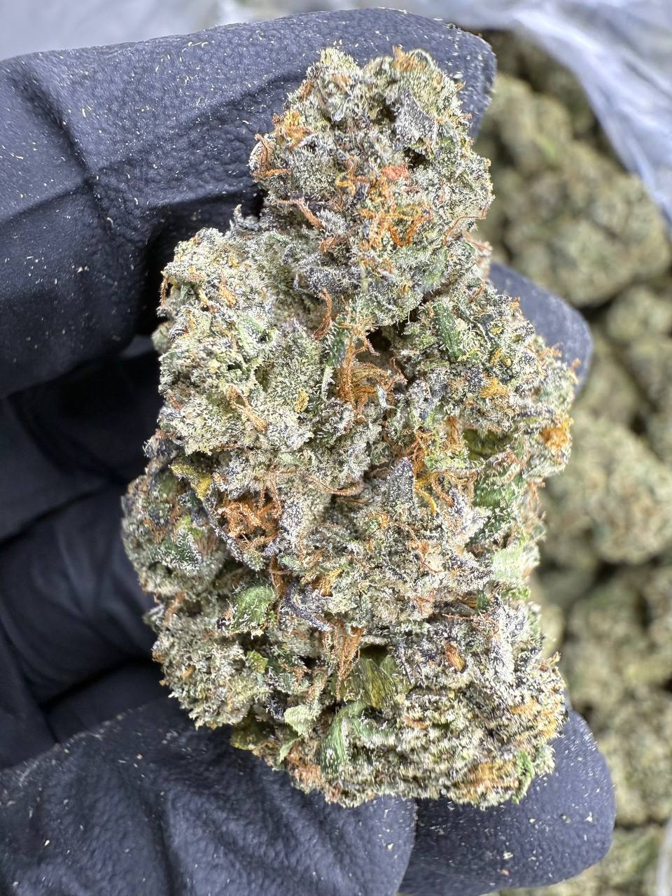 Cherry Pie Runtz THCA Flower | 30.14% EXOTIC INDOOR