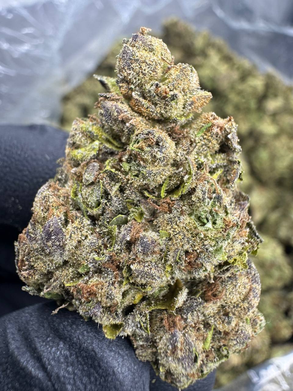 Pink Runtz THCA Flower | 24.61% CLASSIC RESERVE