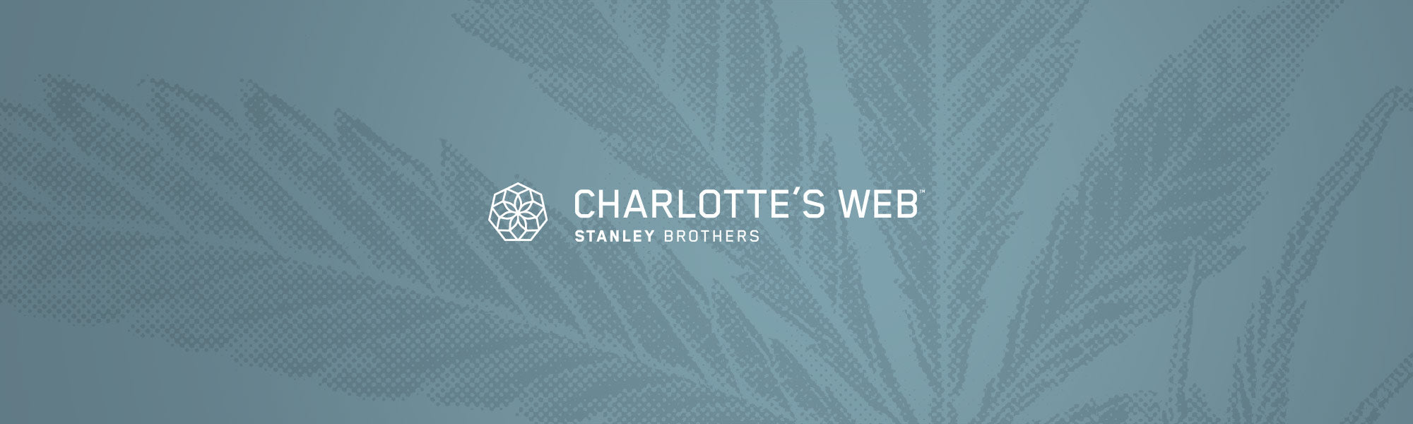 Charlotte's Web