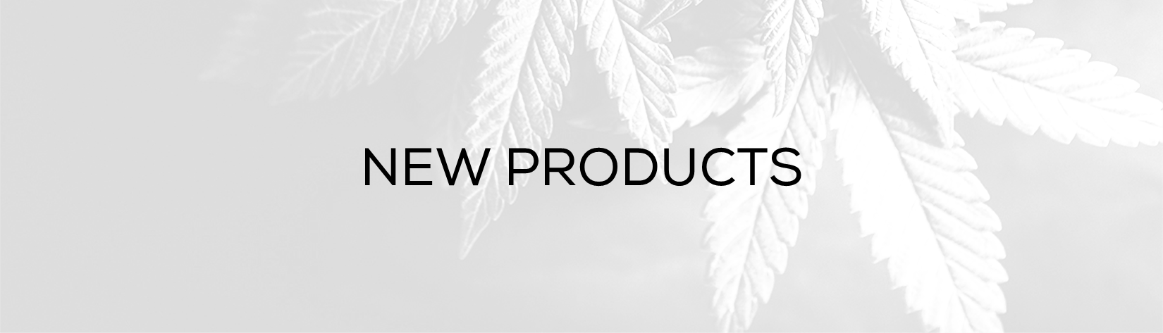 Newest Products