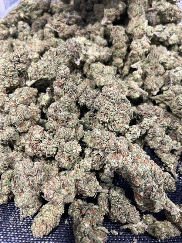 Obama Runtz | Indica | 31.64% | TCHA Flower