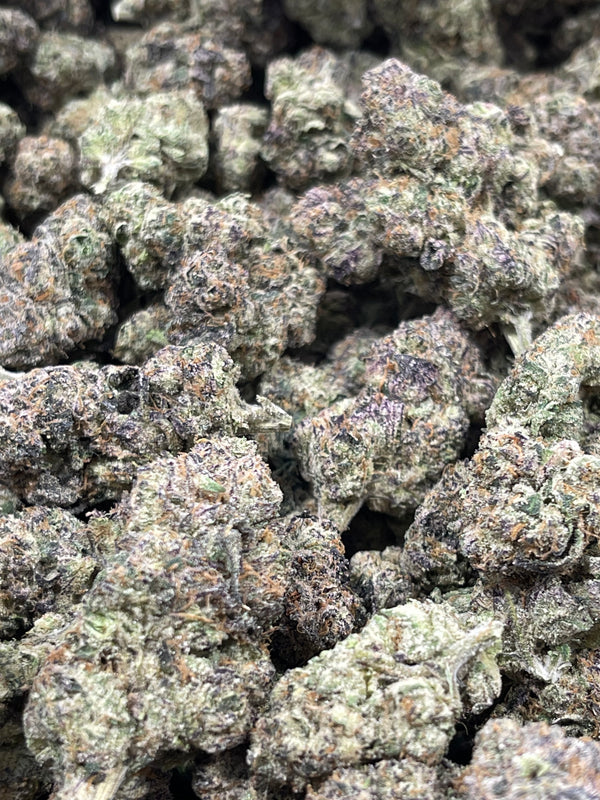 Obama Runtz | Indica | 31.68% | TCHA Flower