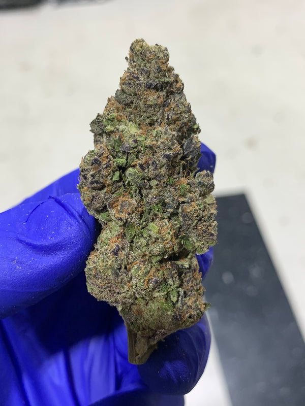 Purple Gumbo | Indica | 28.53% | TCHA Flower