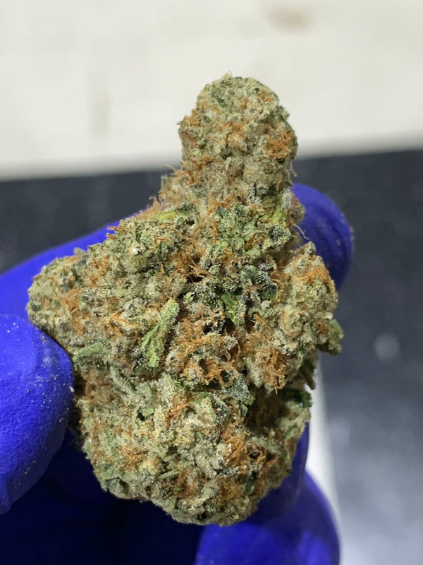 MAC | Indica | 33.14% | TCHA Flower