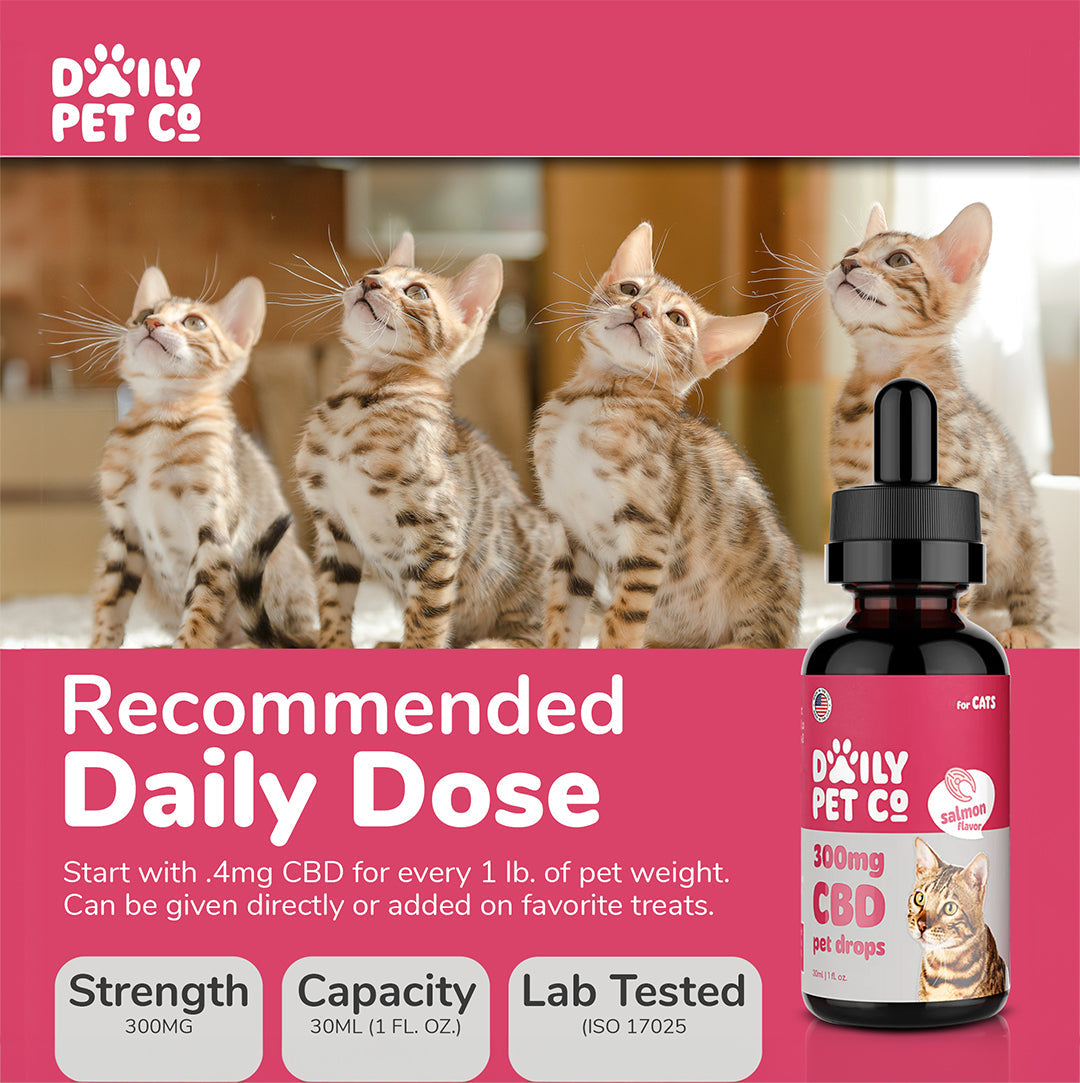 Daily Pet Co Drops - 300mg CATS