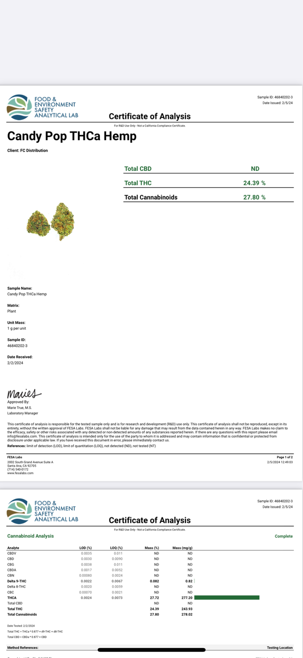 Candy Pop | Hybrid | 27.72% | TCHA Flower