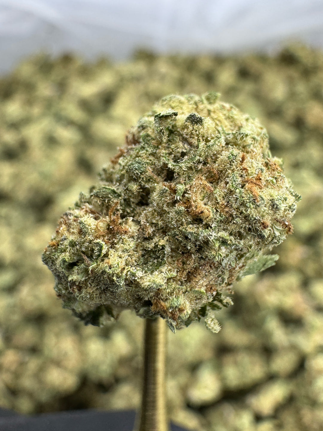 Blueberry Muffin THCA Flower | 29.49% INDOOR SMALLS