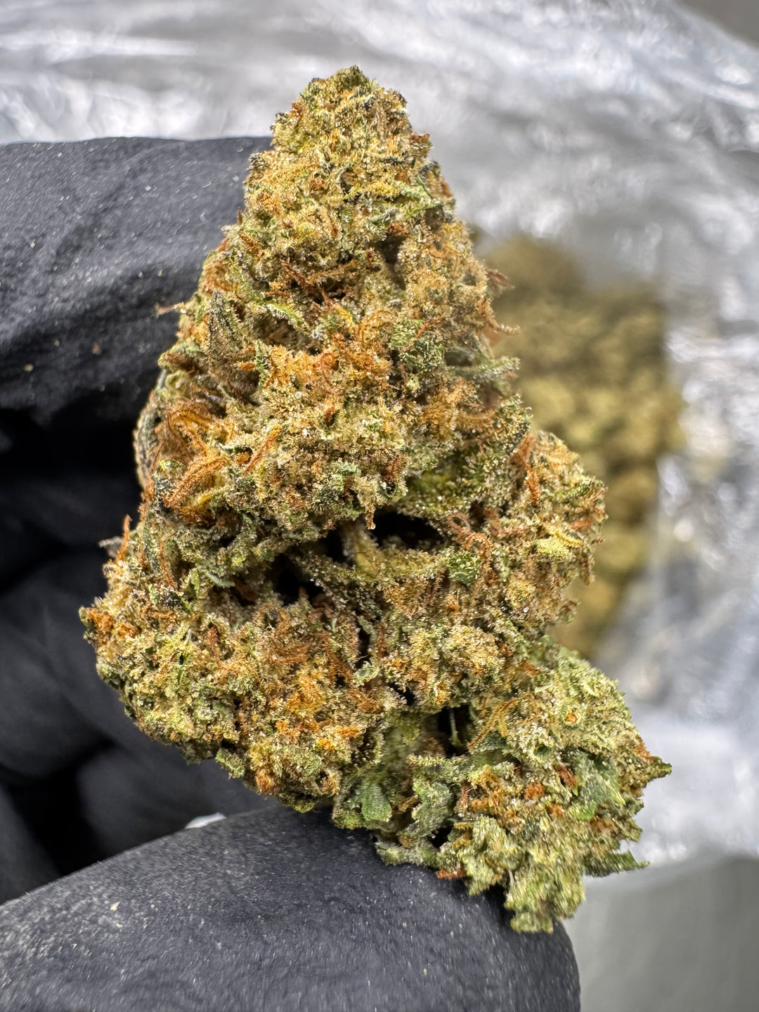 Cadillac Rainbow THCA Flower | 24.41% SUNGROWN