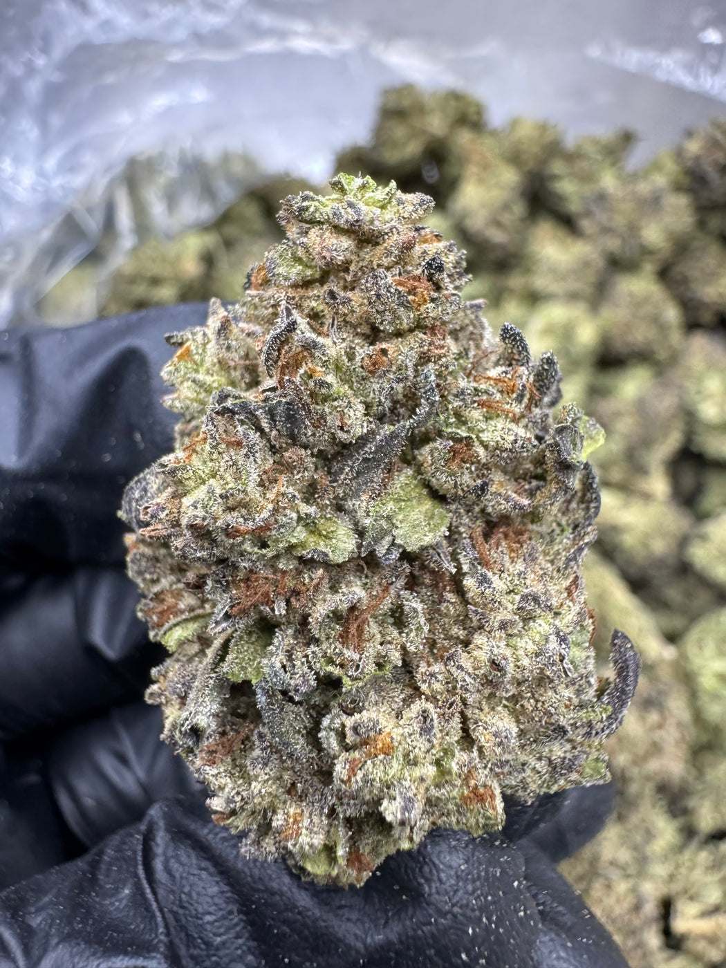 Cookies and Cream THCA Flower | 29.34% TOP SHELF SMALLS