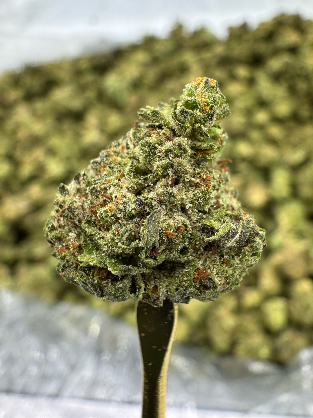 Donut Shop THCA Flower | 27.83% GREENHOUSE SMALLS