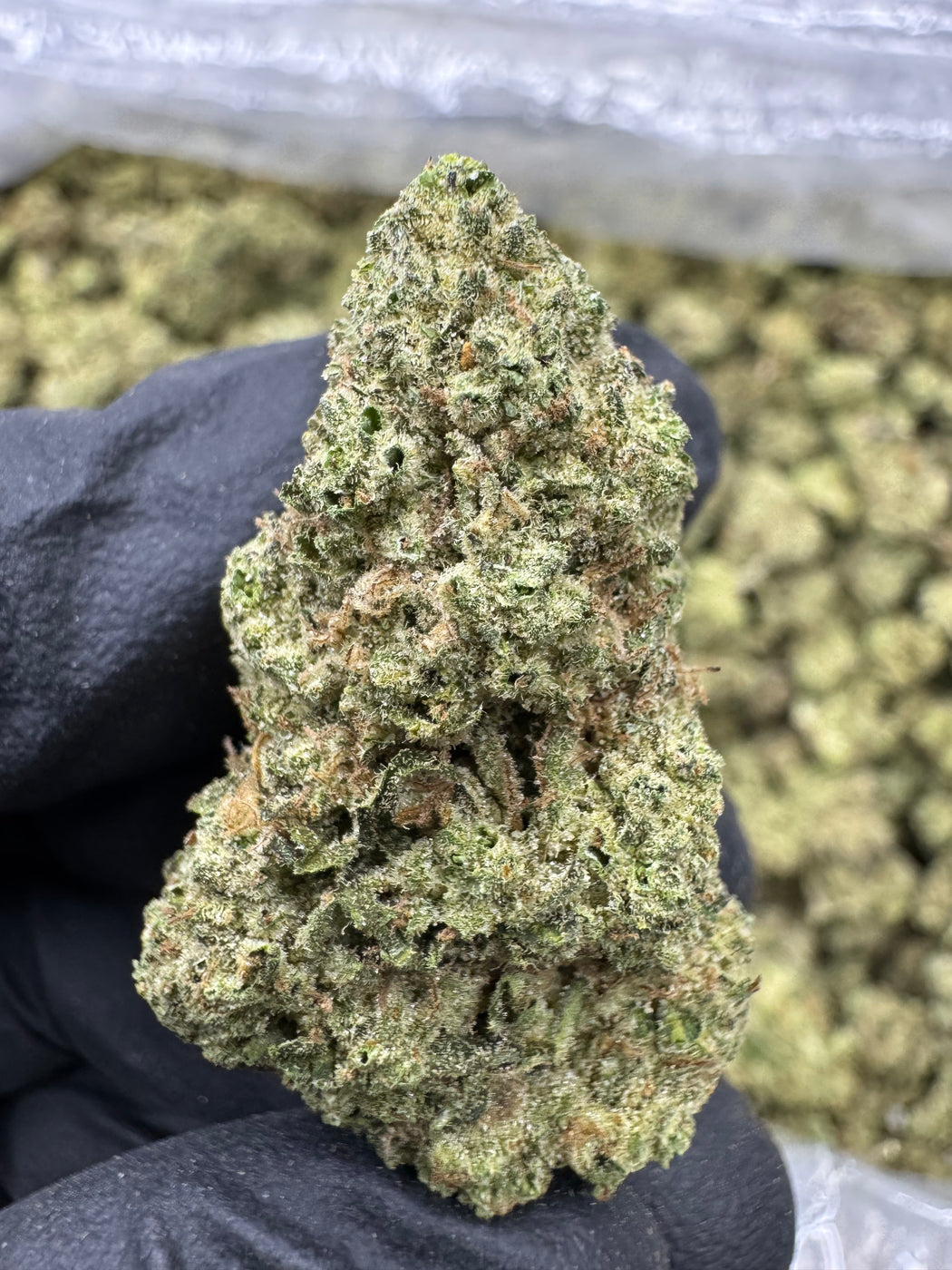 Dosido THCA Flower | 20.74% CLASSIC RESERVE