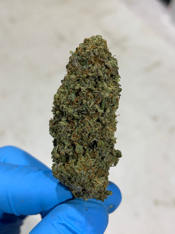 Gush Mintz | Indica | 33.19% | TCHA Flower