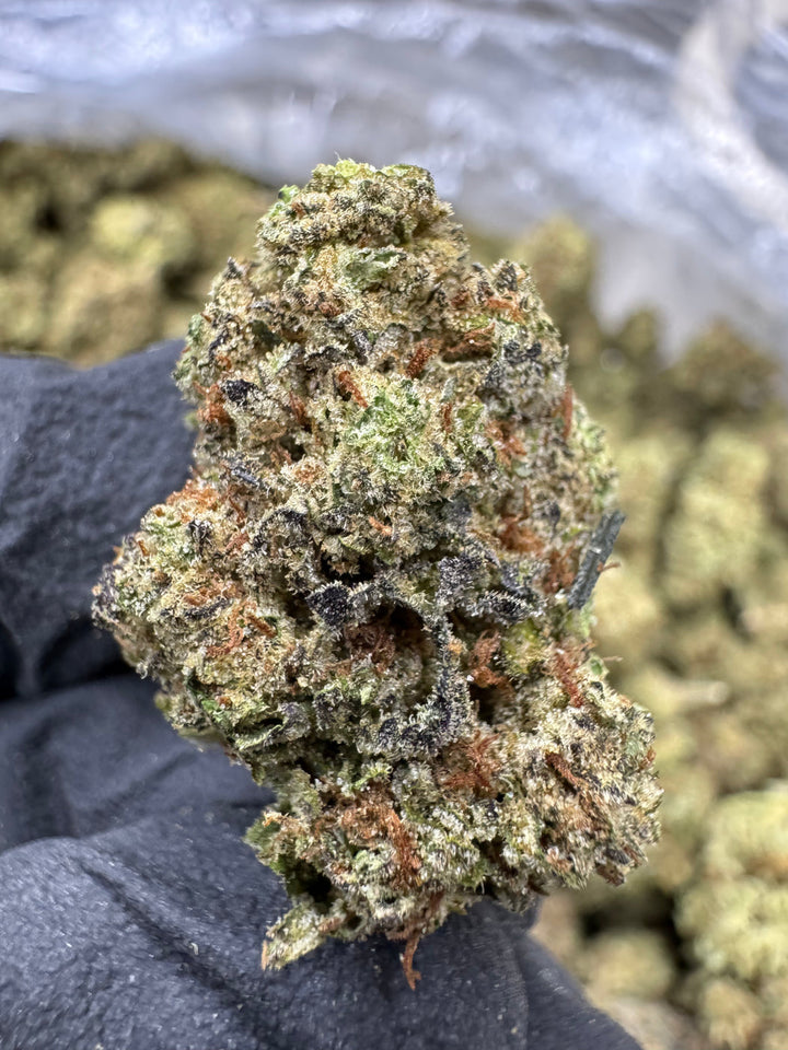 Garlic Mintz THCA Flower | 26.76% TOP SHELF