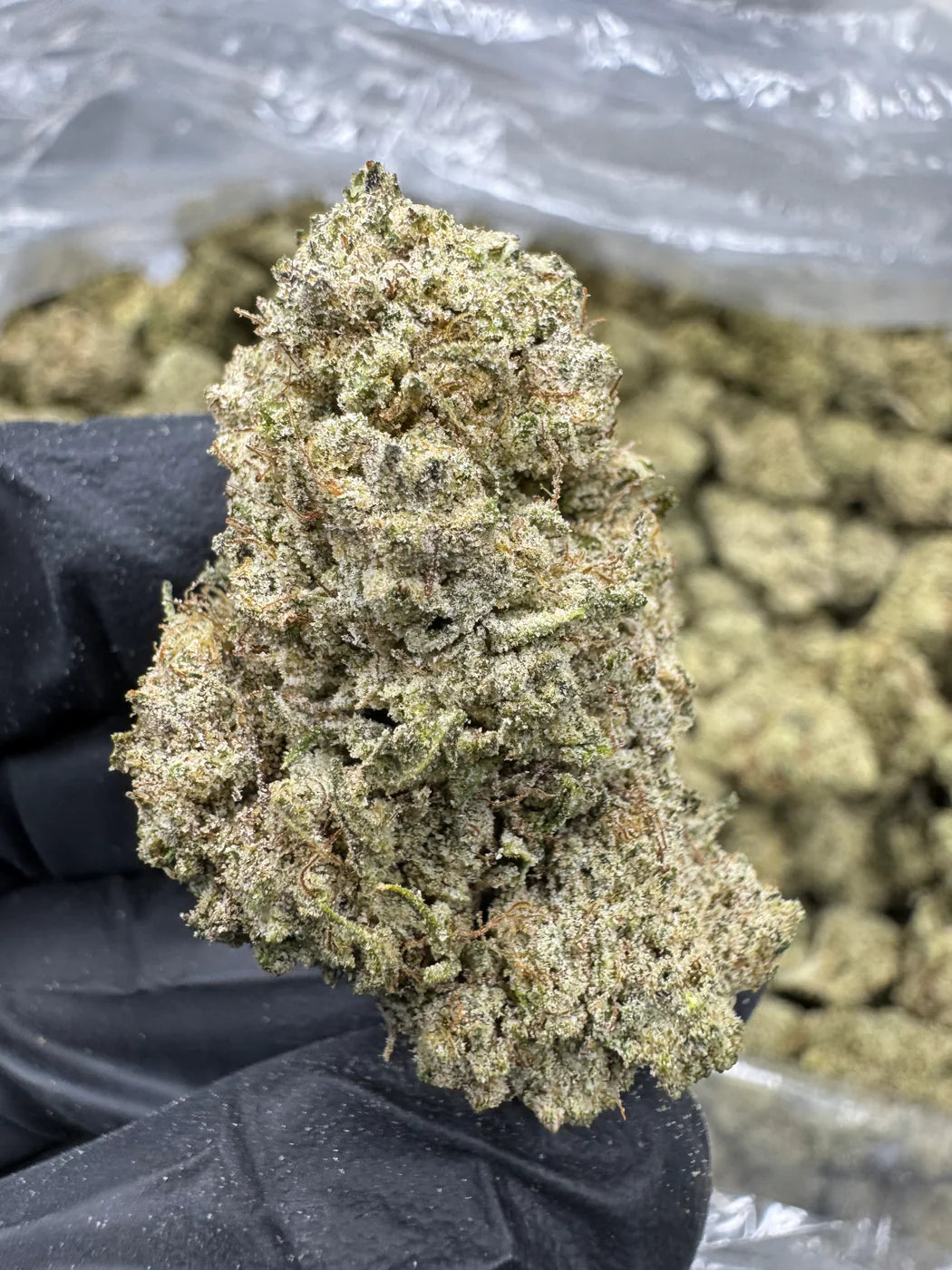 Green Crack THCP Flower | 25.22% THCP Flower