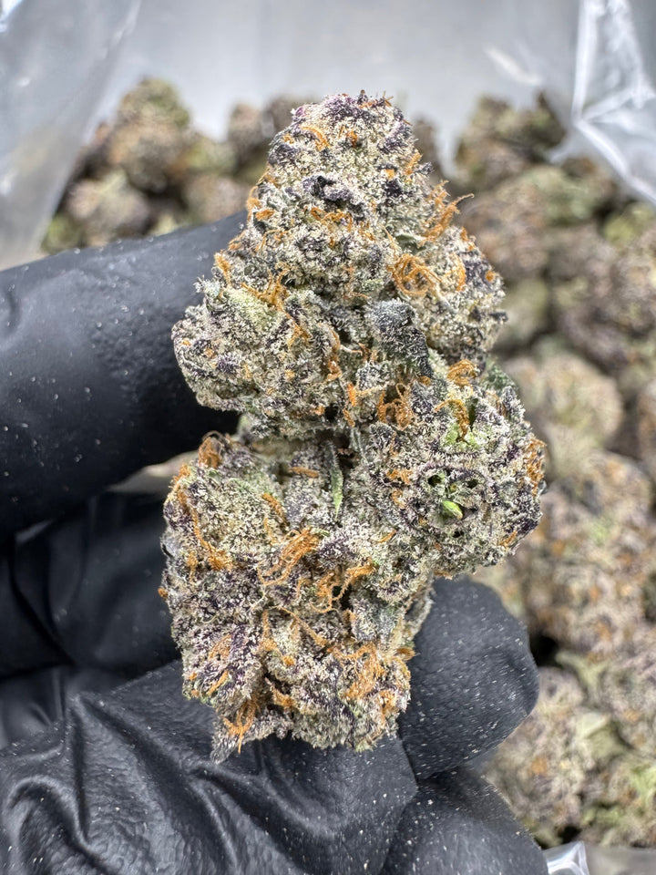 Gumbo THCA Flower | 37.25%  EXOTIC INDOOR
