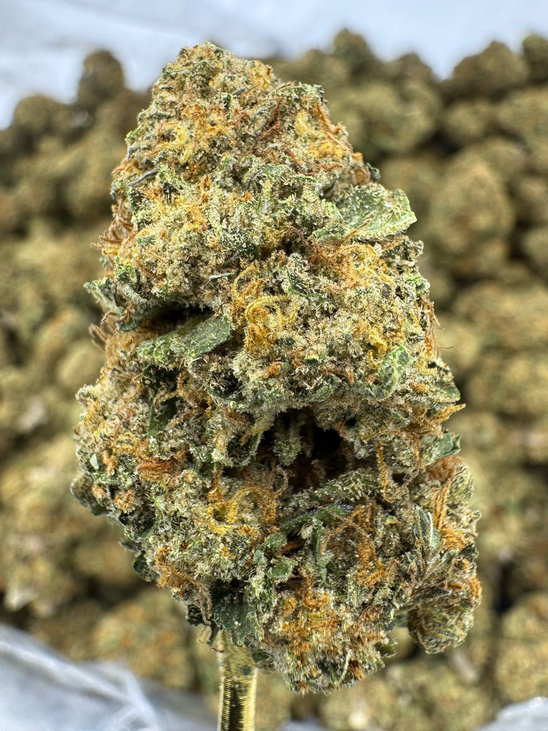 Lemon Tree THCA Flower | 25.04% GREENHOUSE