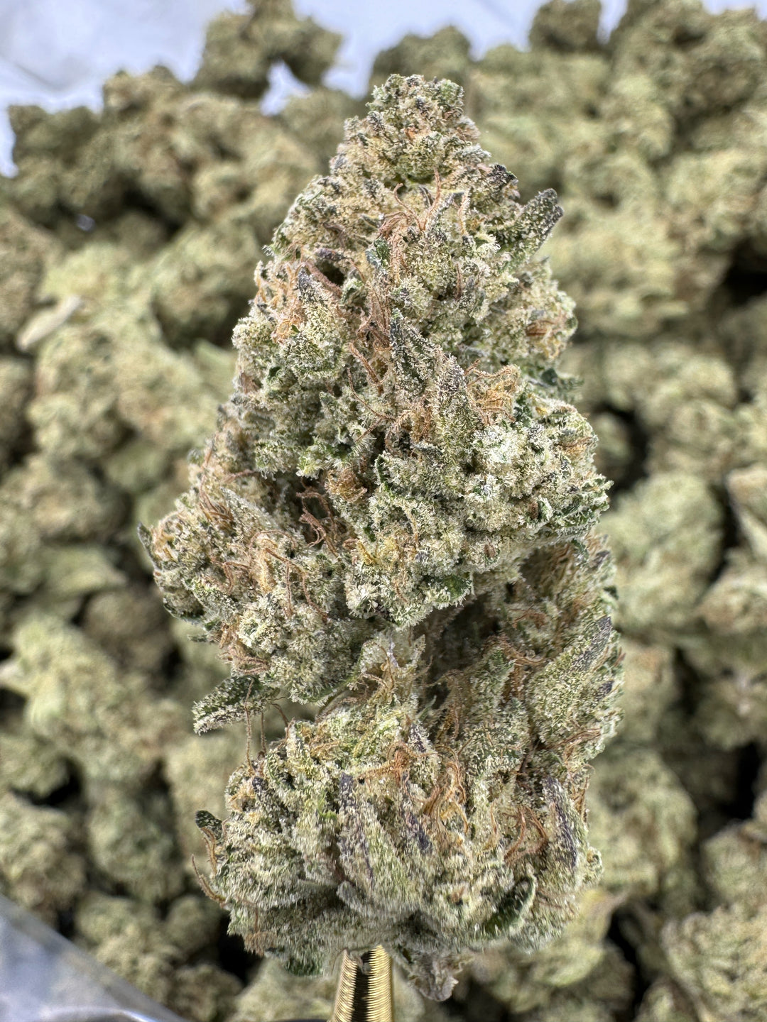 Mimosa THCA Flower | 30.84% INDOOR