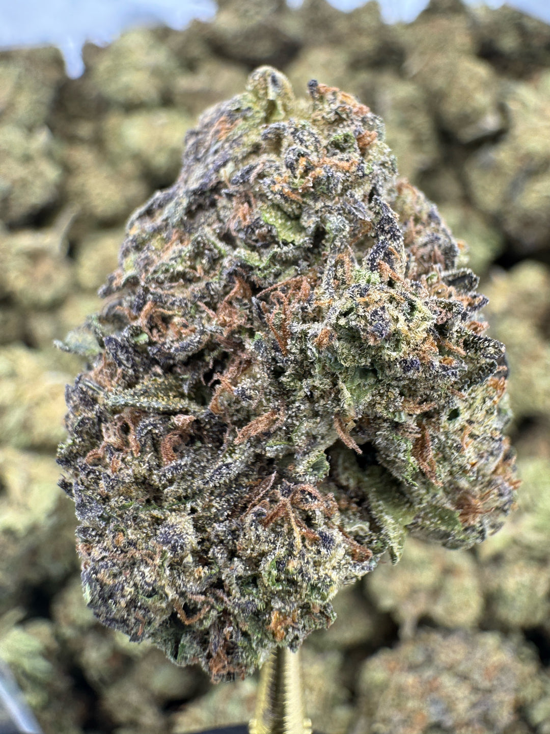 Mochi THCA Flower | 24.85% SUNGROWN