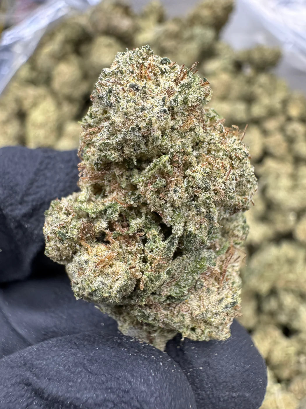 OG THCP Flower | 28.56% THCP Flower
