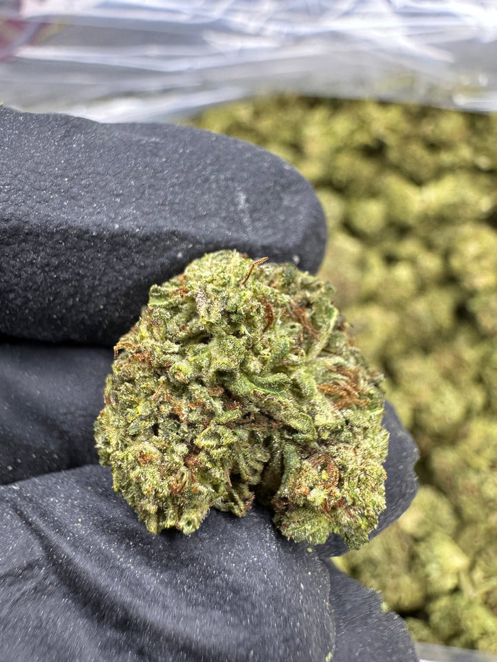 Rainbow Sherbet #11 THCA Flower | 29.57% TOP SHELF SMALLS