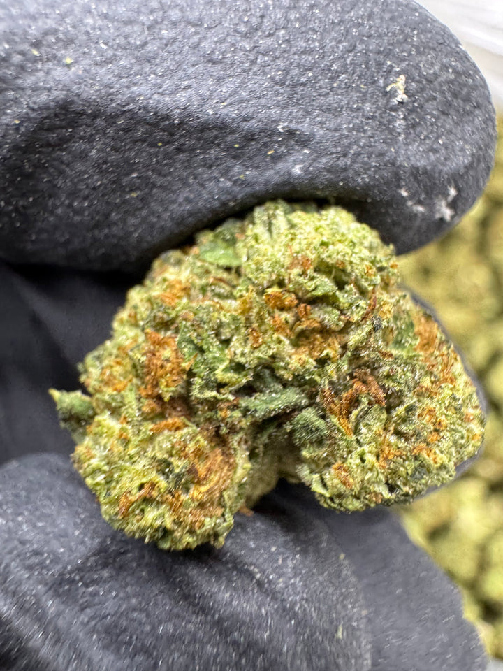 Sunday Driver THCA Flower | 30.77% TOP SHELF SMALLS