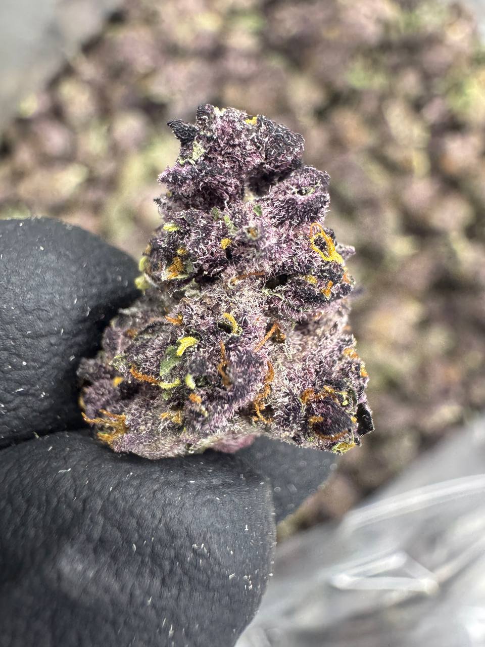 Tropicana Cherry THCA Flower | 30.22% INDOOR SMALLS