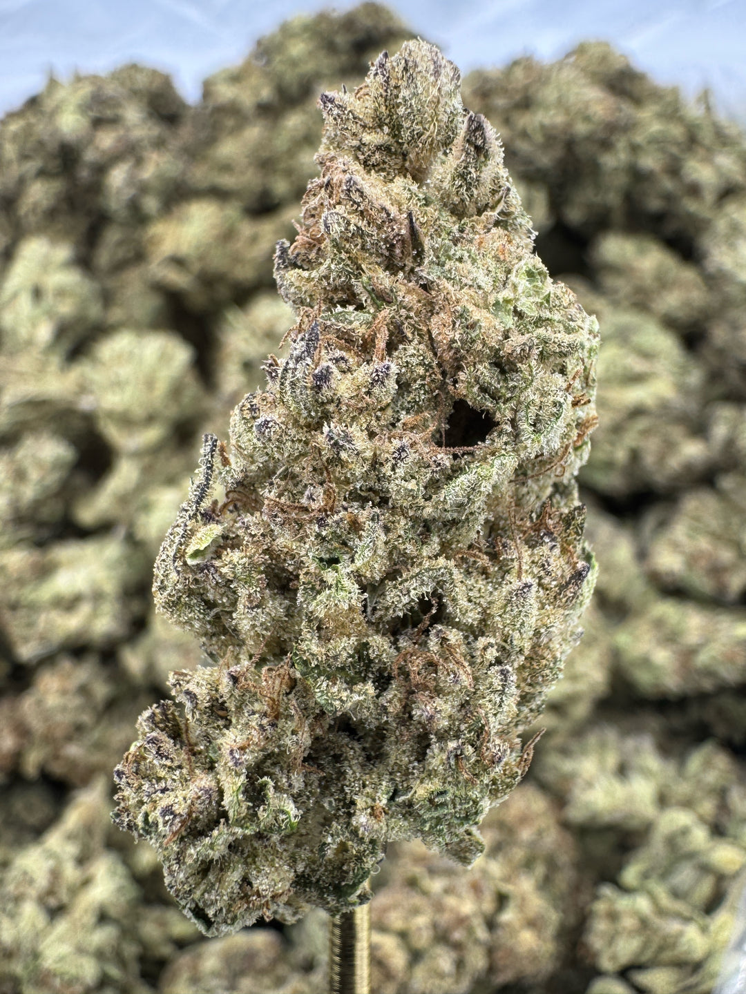 Venom OG THCA Flower | 30.14% GREENHOUSE