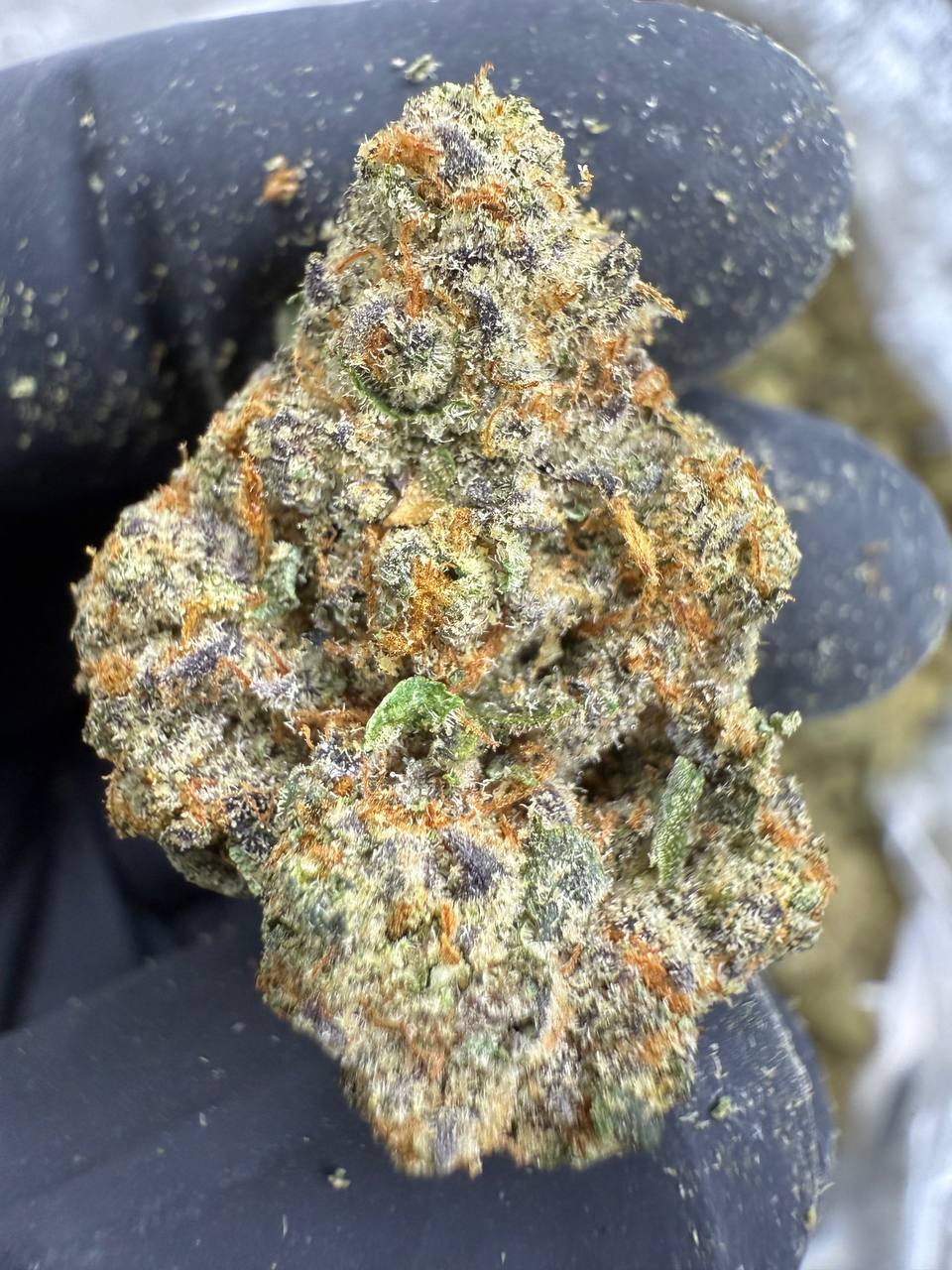 Ooh La La THCA Flower | 26.23% AAA INDOOR