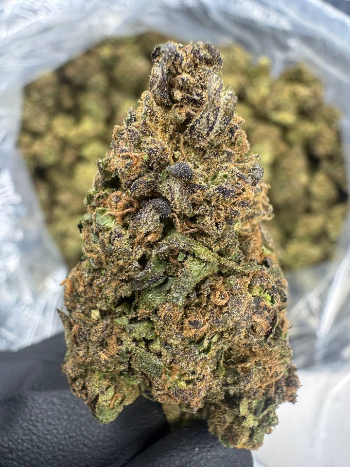 Rainbow Belts THCA Flower | 25.13% CLASSIC RESERVE