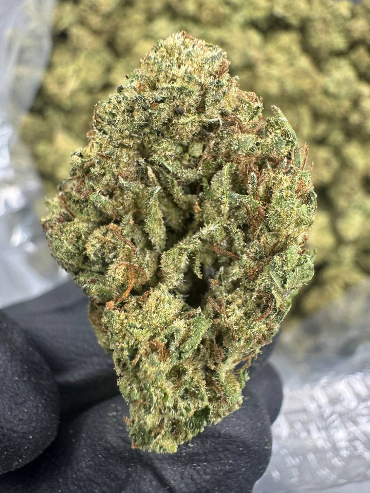 Gumbo THCA Flower | 24.85% CLASSIC RESERVE