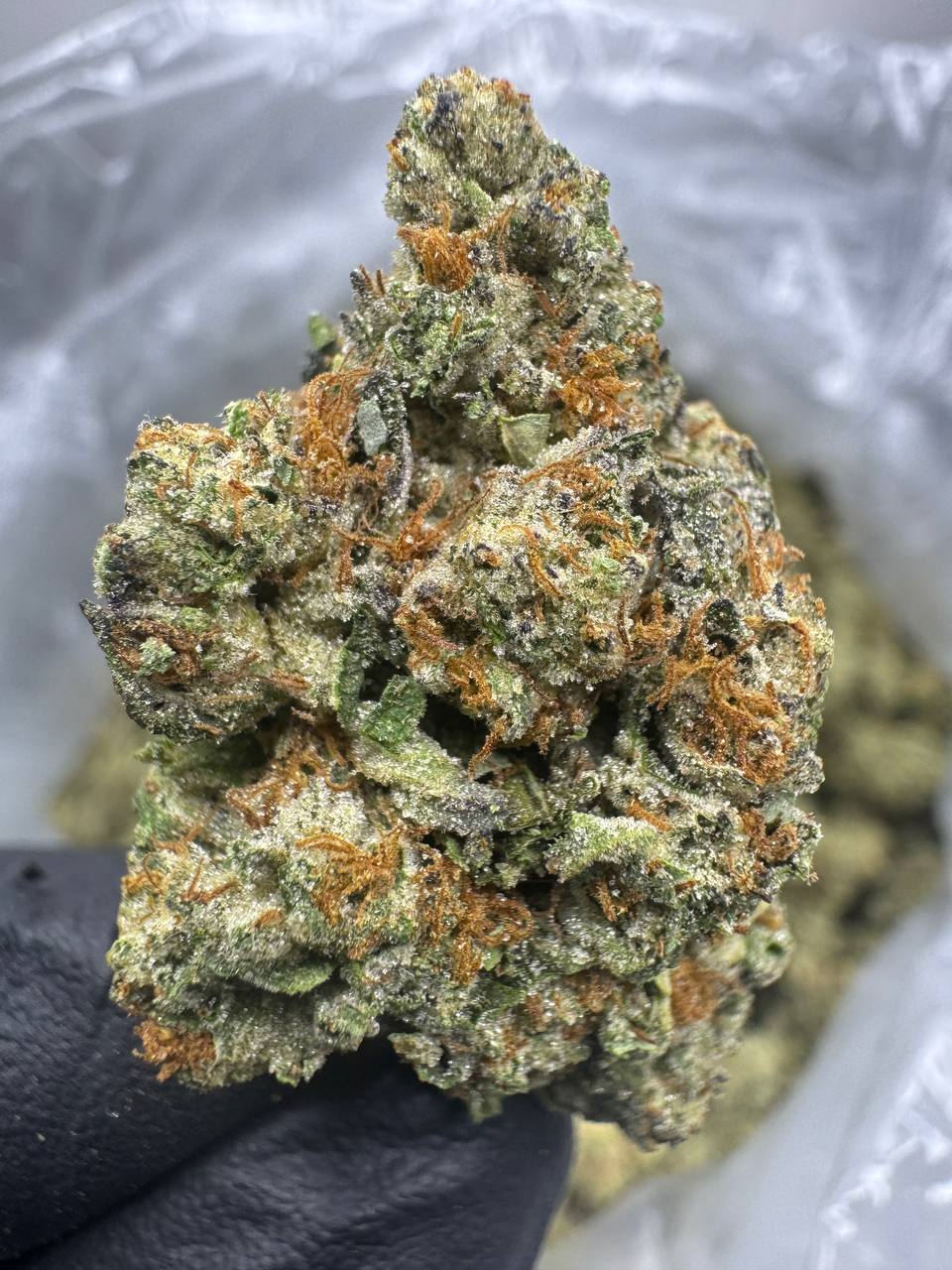 Triple Cake THCA Flower | 27.29% TOP SHELF