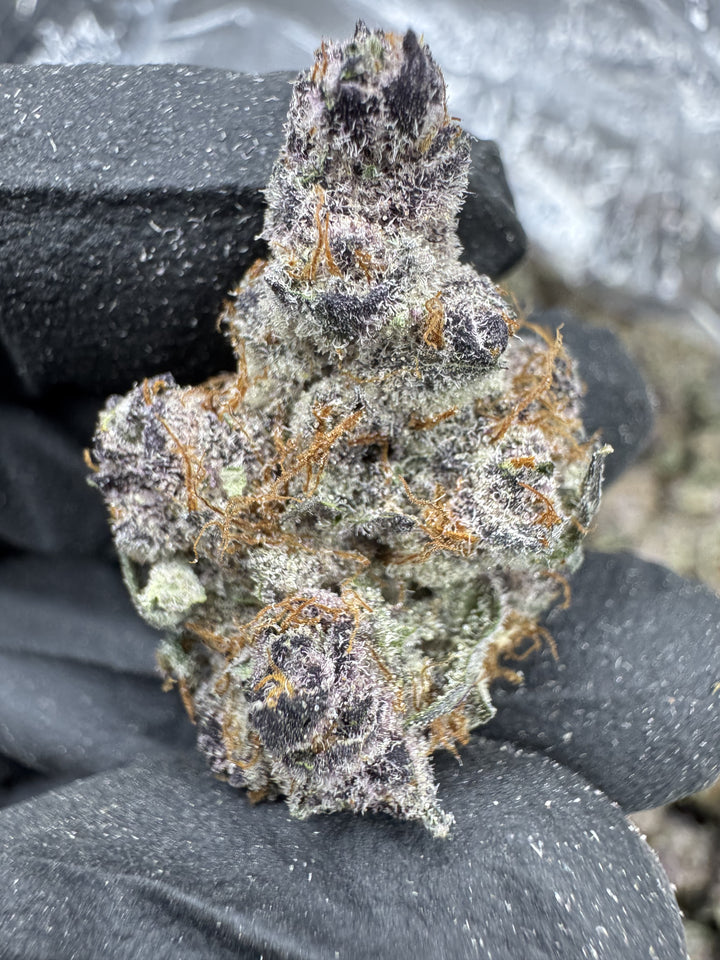 Tropicana Cherry THCA Flower | 29.21% EXOTIC INDOOR