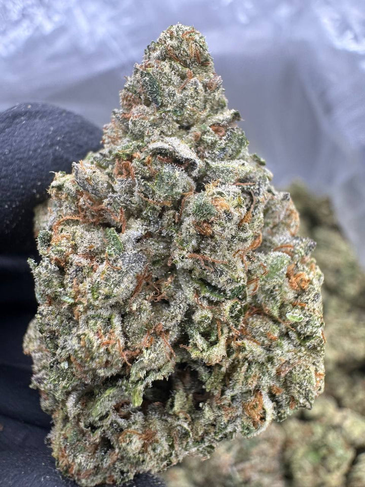 Ooh La La THCA Flower | 27.56% EXOTIC INDOOR