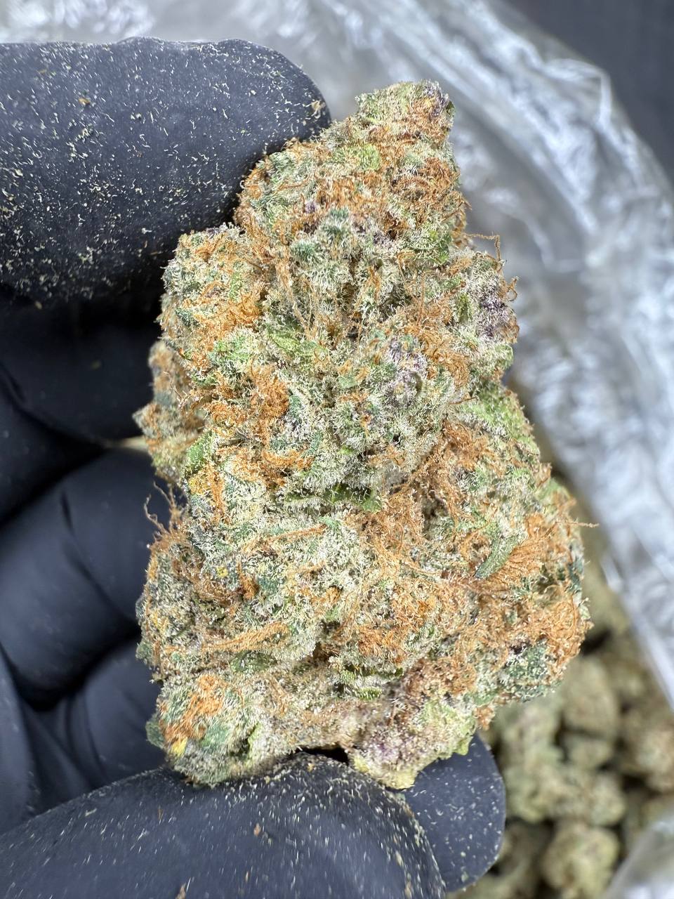 Blackberry Super Boof THCA Flower | 26.15% AAA INDOOR