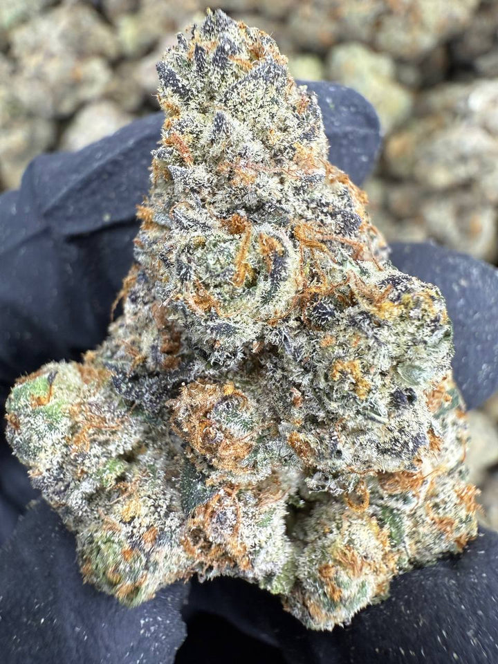 Cadillac Rainbow THCA Flower | 32.61% EXOTIC INDOOR