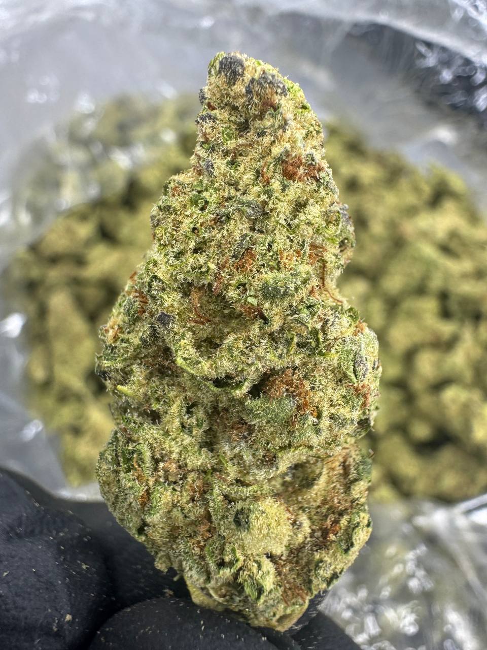 Blueberry Muffin THCA Flower | 29.49% AAA