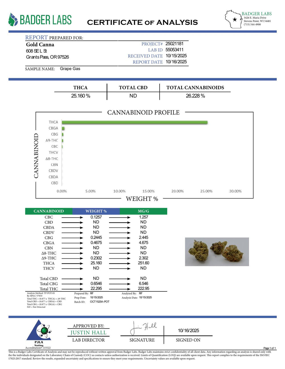 COA PDF (converted to JPEG)