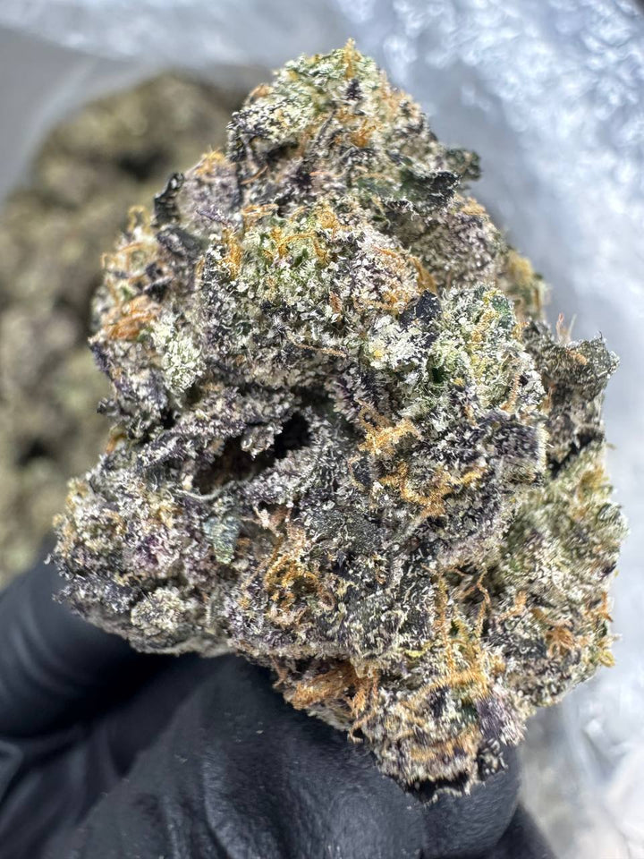 Gelato 33 THCA Flower | 29.33% EXOTIC INDOOR