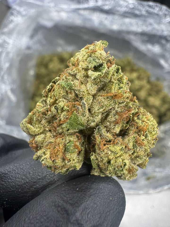 Cherry Pie THCA Flower | 25.66% CLASSIC RESERVE