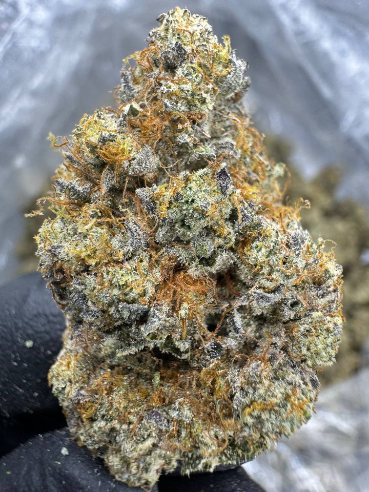 Triple Cake THCA Flower | 31.82% EXOTIC INDOOR