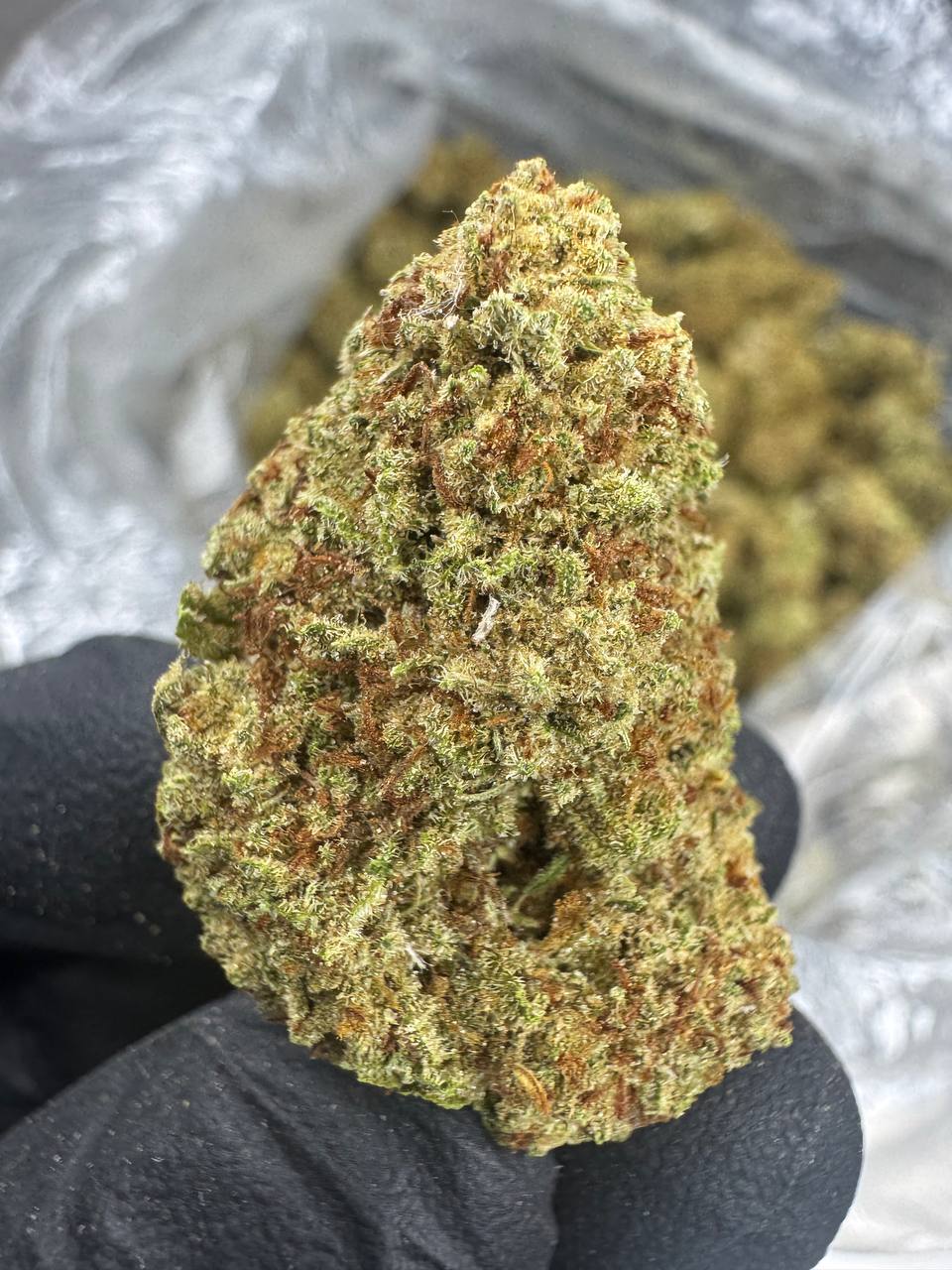 Key Lime Pie THCA Flower | 27.23% CLASSIC RESERVE