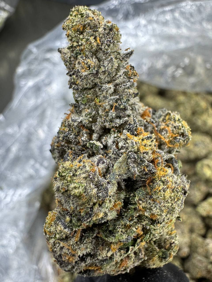 Runtz THCA Flower | 30.69% EXOTIC INDOOR