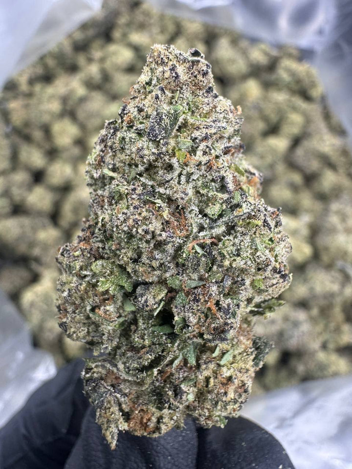 Golden Goat THCA Flower | 25.593% TOP SHELF