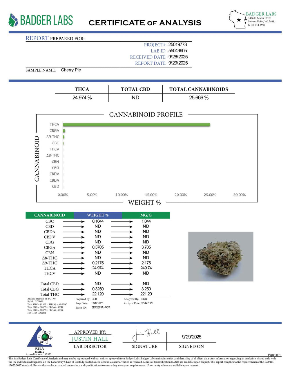 COA PDF (converted to JPEG)