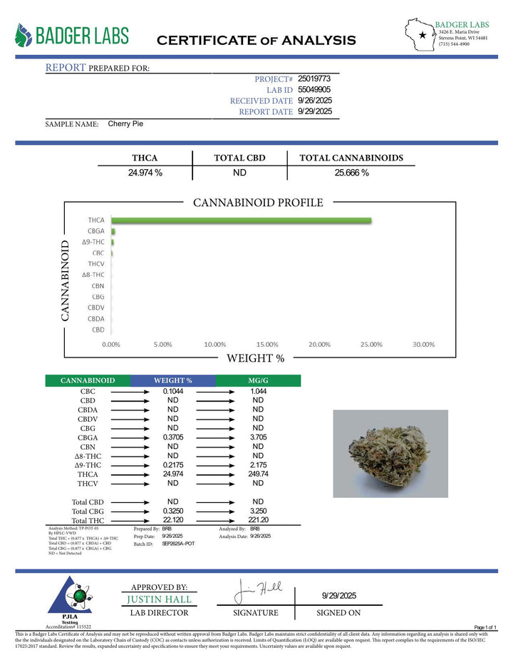 COA PDF (converted to JPEG)