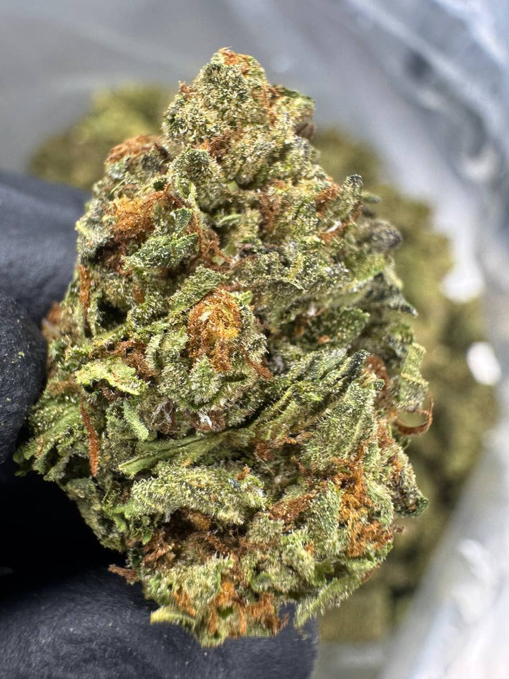 Gelato 41 THCA Flower | 24.79% CLASSIC RESERVE